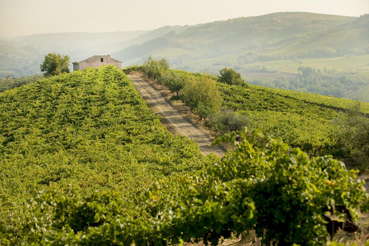 Baldovino B&B Villamagna  Exterior photo
